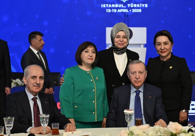 Sahibə Qafarova Türkiyə Prezidenti ilə görüşdə iştirak edib