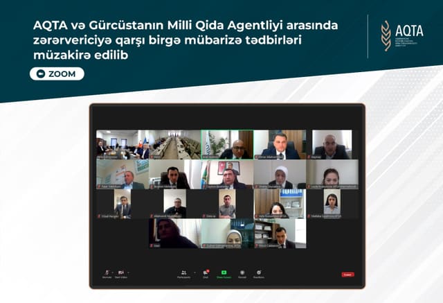 AQTA və Gürcüstanın Milli Qida Agentliyi qəhvəyi mərmər bağacığına qarşı mübarizə sahəsində əməkdaşlıq edəcək
