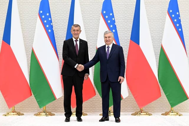 Andrey Babiş Özbəkistan prezidenti ilə görüşüb
