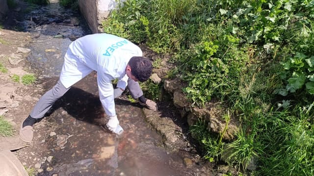 Xəzər dənizini çirkləndirən müəssisə cəzalandırılıb 