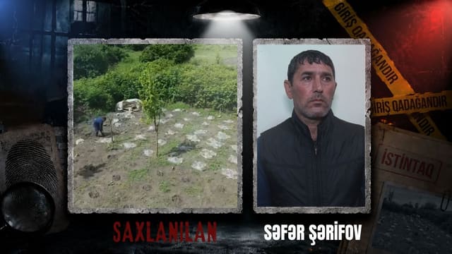 Balakəndə narkotik plantasiyası aşkarlanıb