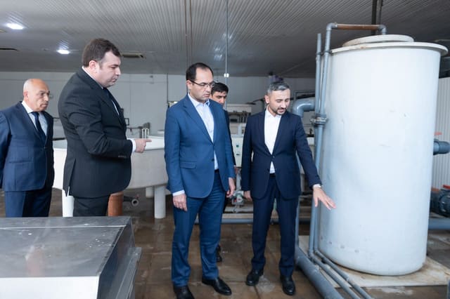  Məcnun Məmmədov Neftçalada “Xıllı balıq" MMC-nin fəaliyyəti ilə tanış olub