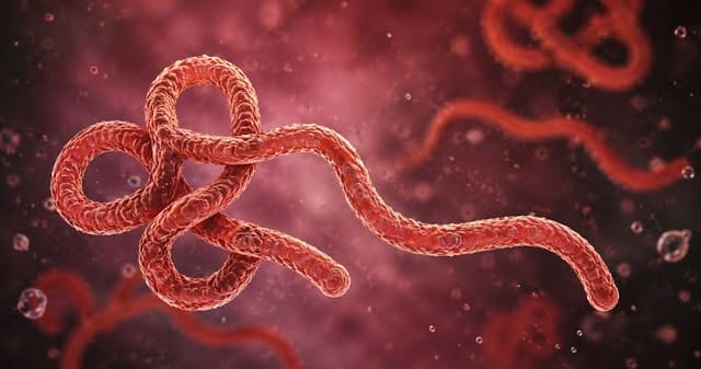 Dörd nəfər Ebola virusuna yoluxma şübhəsi ilə təcrid olunub