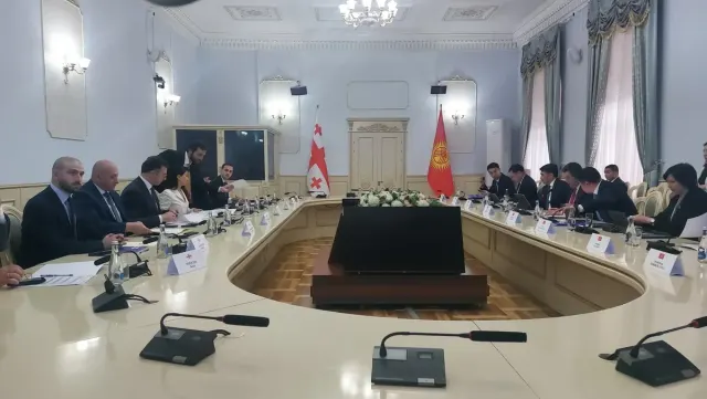 Qırğızıstan və Gürcüstan arasında əməkdaşlığa dair sənədlər imzalanıb