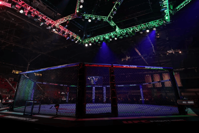 UFC-nin Bakıda təşkil olunan turniri başa çatıb