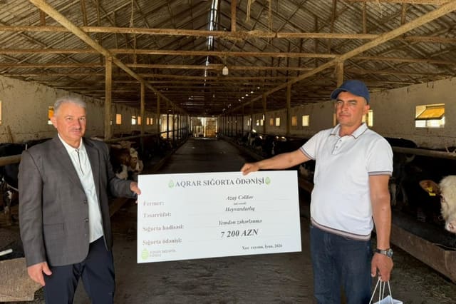 Xaçmaz və Xızıda təsərrüfatlara dəymiş zərərlər üzrə sığorta ödənişləri həyata keçirilib