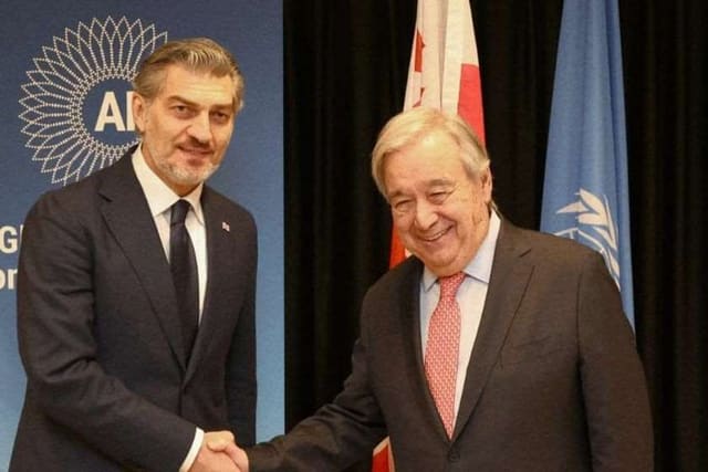 Gürcüstan prezidenti Antonio Quterreşlə görüşüb