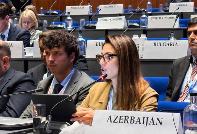 Azərbaycanın kibertəhlükəsizlik siyasəti ATƏT PA-da diqqətə çatdırılıb