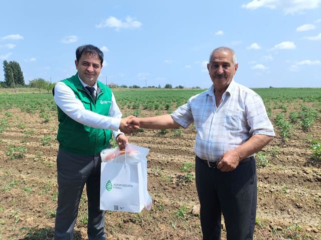 Cəlilabad və Biləsuvarda təsərrüfatlara dəymiş zərərlər üzrə sığorta ödənişləri həyata keçirilib