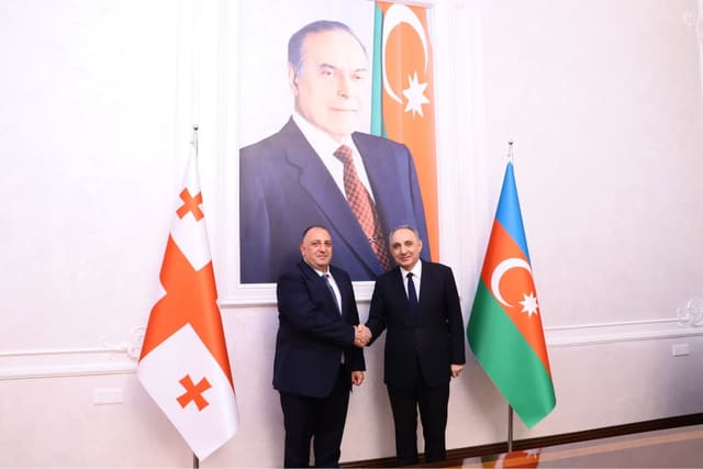 Gürcüstanın Baş prokuroru Azərbaycana səfər edib