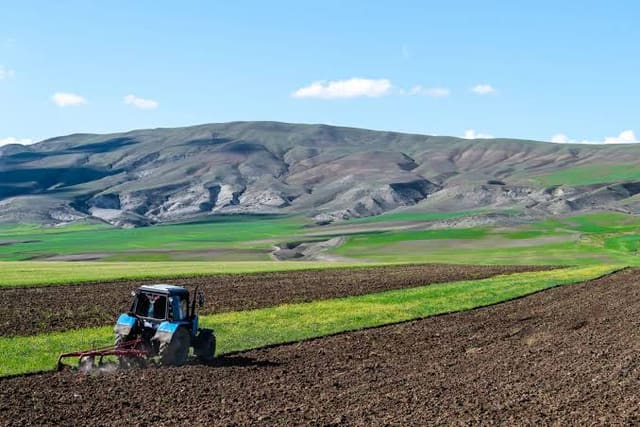 Azərbaycanda fermer reytinqi subsidiyaların verilməsində tətbiq olunacaq