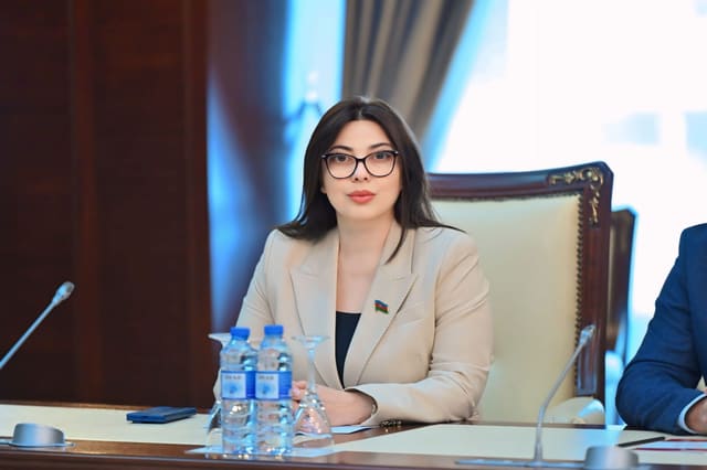 Səbinə Salmanova: Azərbaycanın AQEM sədrliyi beynəlxalq nüfuzunun göstəricisidir