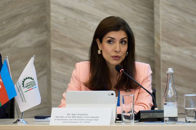 Nigar Arpadarai: Dünyanın bütün ölkələrini bir araya gətirən yeganə birləşdirici gündəm iqlim gündəliyidir