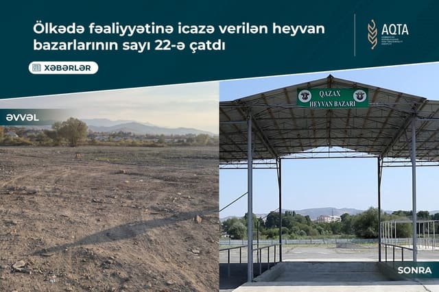 Ölkədə fəaliyyətinə icazə verilən heyvan bazarlarının sayı 22-ə çatıb