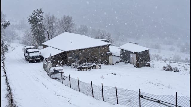 Qubaya qar yağır - FAKTİKİ HAVA