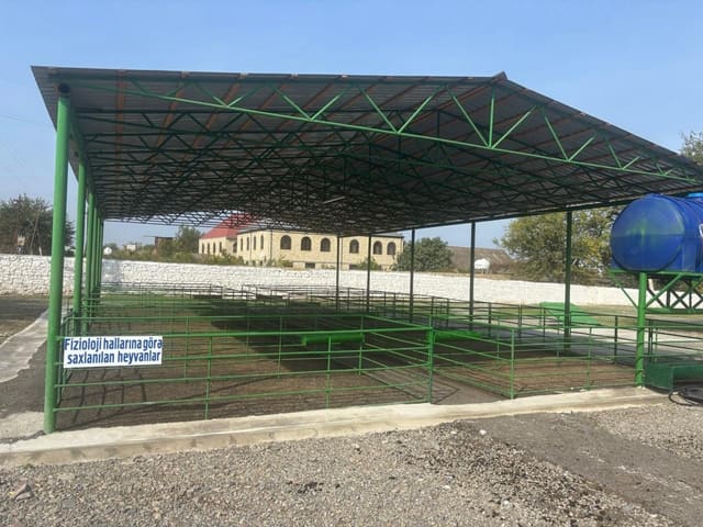 Şəmkirdə yeni heyvan satışı bazarı fəaliyyətə başladı