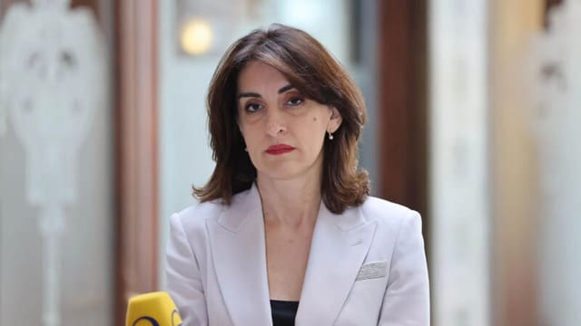 Gürcüstan XİN Avropa İttifaqının tətbiq etdiyi ikili standartları tənqid edib