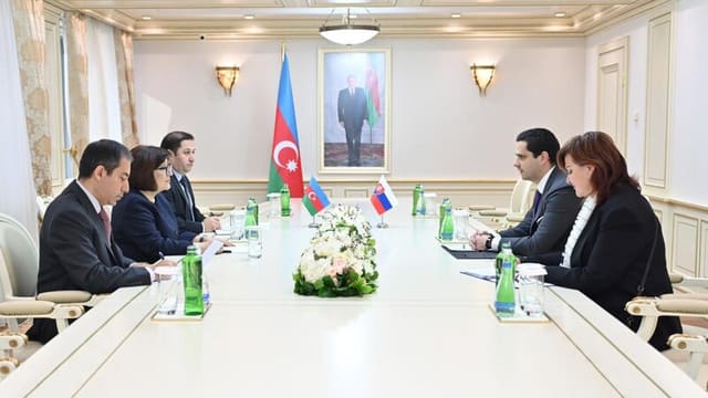 Sahibə Qafarova Slovakiyanın ölkəmizdəki səfiri ilə görüşüb