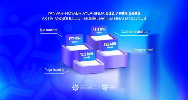 Son 11 ayda 532 mindən çox şəxs aktiv məşğulluq tədbirlərinə cəlb olunub