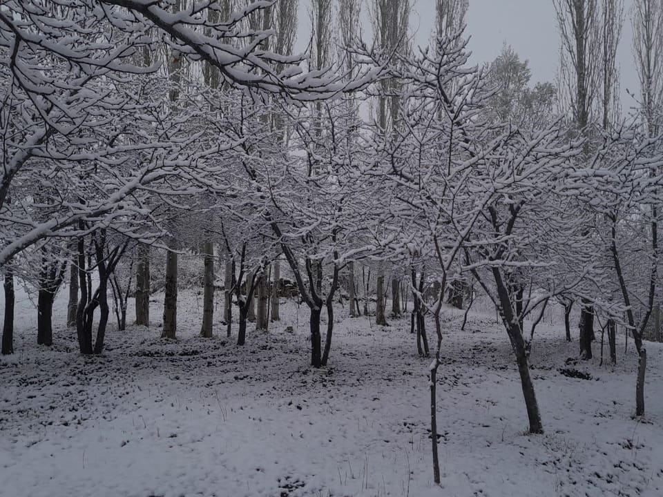 Ölkənin bəzi ərazilərinə qar yağıb - Faktiki Hava 