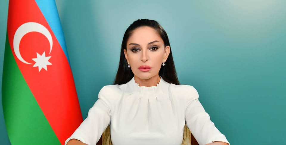 Mehriban Əliyeva təyyarə qəzası ilə bağlı paylaşım edib