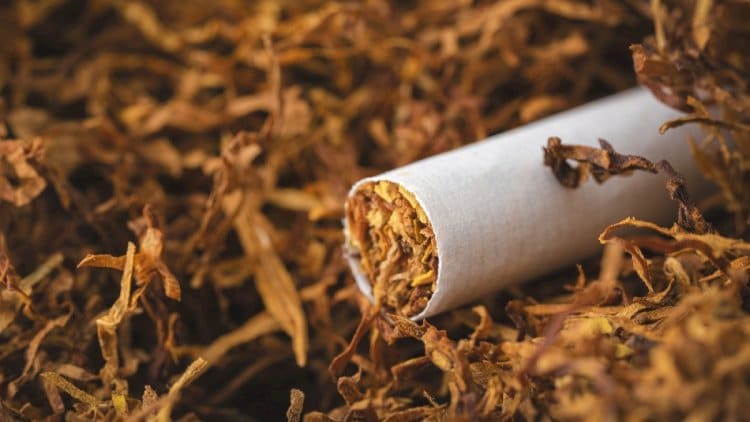 Azərbaycan tütün ixracından qazancını 12 % artırıb