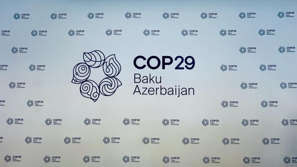 COP29 Azərbaycan Əməliyyat Şirkəti ləğv edilib