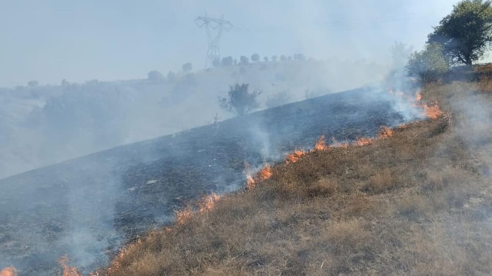 Cəbrayıl və Füzulidə açıq ərazidə yanğın baş verib