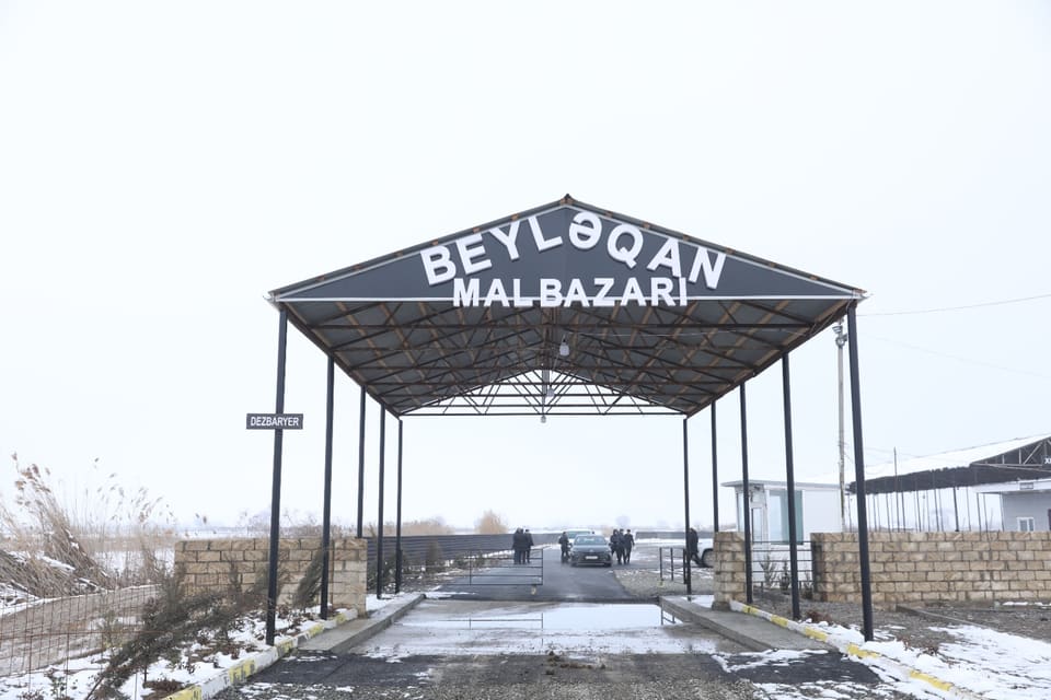 Beyləqan heyvan bazarının fəaliyyətinə icazə verilib - Video