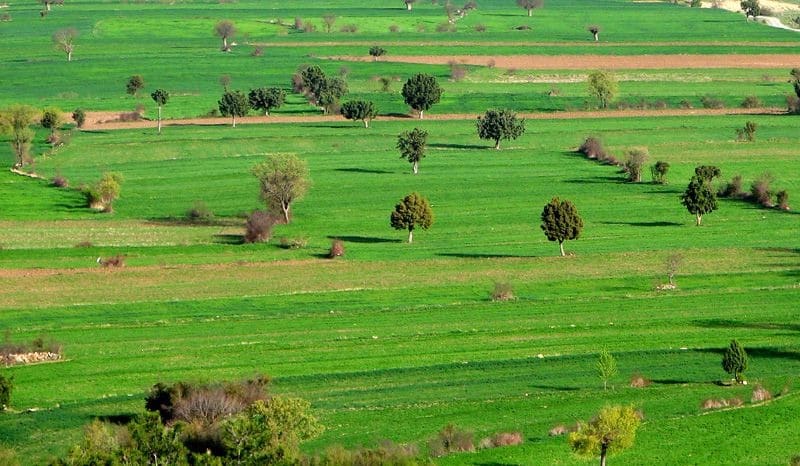  Ötən il 226 hektar torpaq sahəsinin kateqoriyası dəyişdirilib