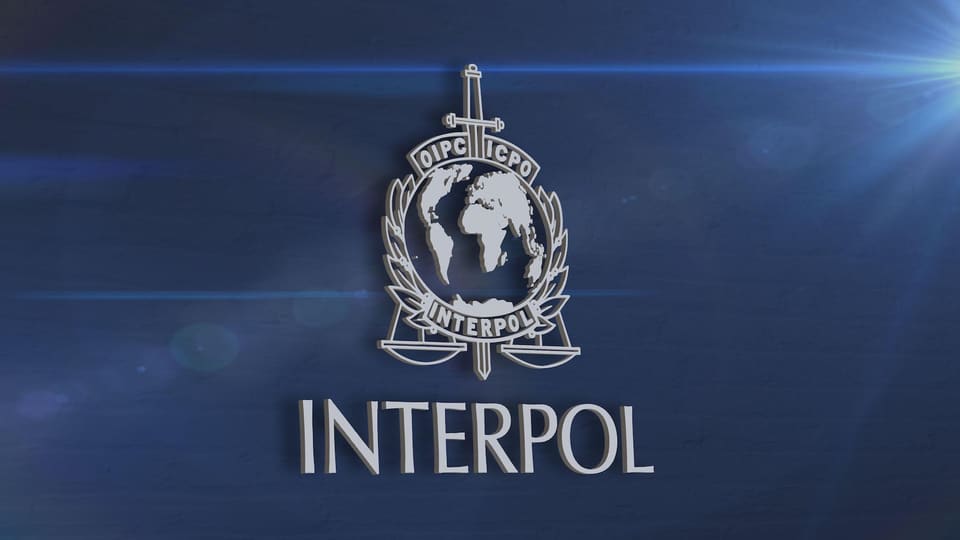 İnterpolun qırmızı bülleteni ilə axtarışda olan Türkiyə vətəndaşları Gürcüstanda saxlanılıb