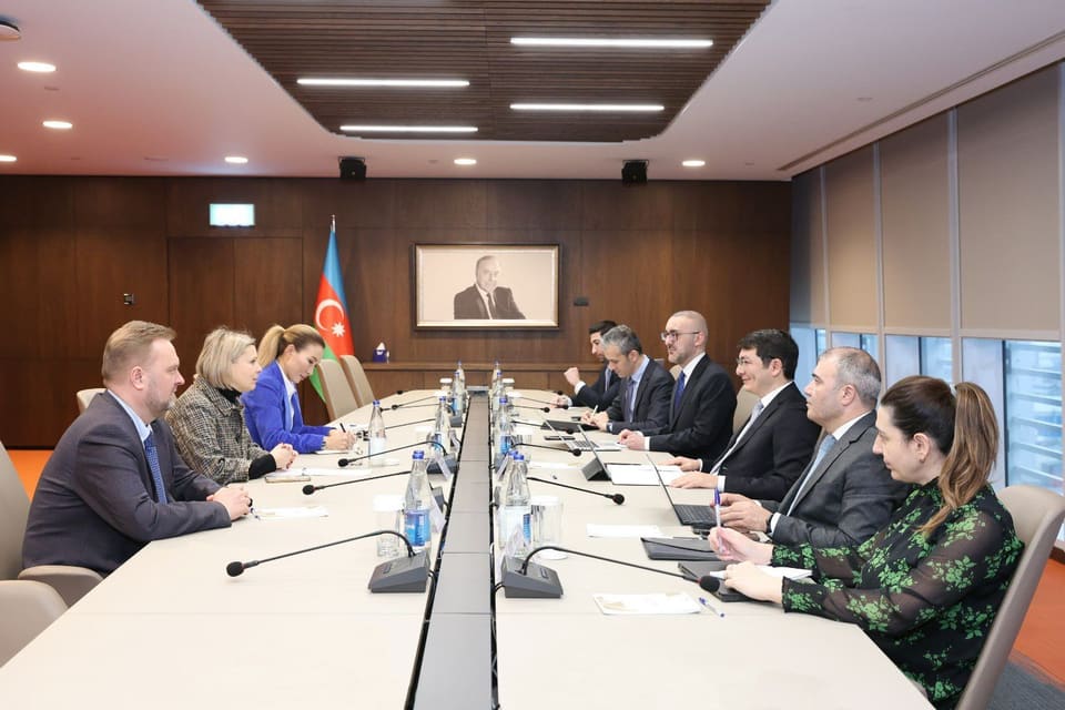 “Microsoft” şirkətinin Rumıniya, Moldova və MDB üzrə baş meneceri ilə görüş keçirilib