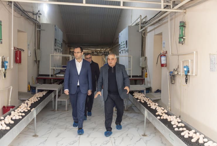 Məcnun Məmmədov Xızı və Abşeronda yerləşən quşçuluq müəssisələrinin fəaliyyəti ilə tanış olub