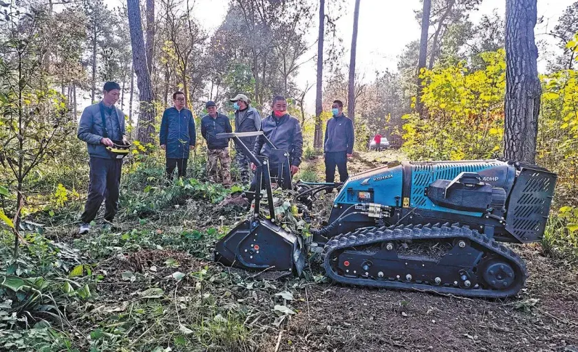 Çində robotlar meşələrin qorunmasına kömək edir