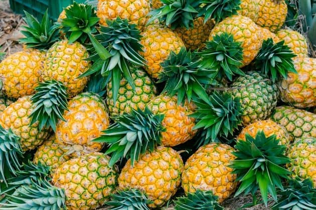 Bromelainin faydaları nələrdir?
