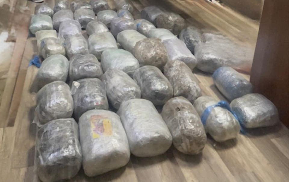 DİN BNMİ əməliyyat keçirib, 42 kq narkotik vasitə dövriyyədən çıxarılıb