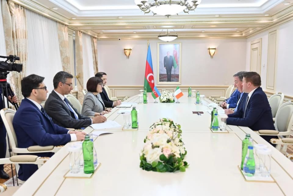 Azərbaycan–İrlandiya parlament əlaqələri müzakirə olunub