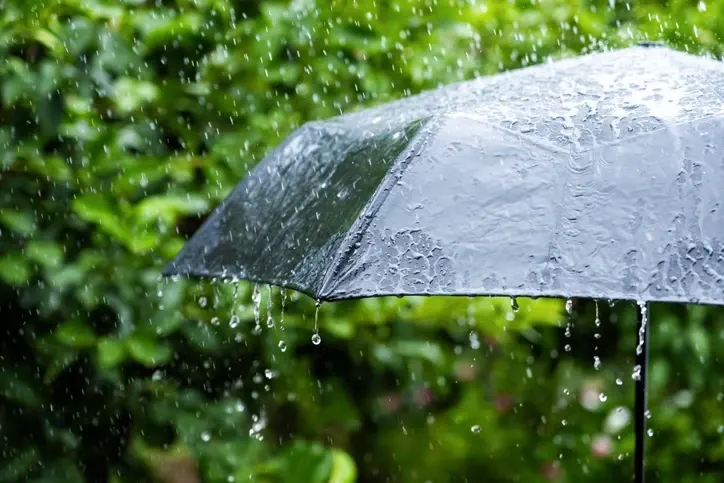 Ölkə ərazisinin əksər yerlərində yağıntılı hava şəraiti davam edir - FAKTİKİ HAVA