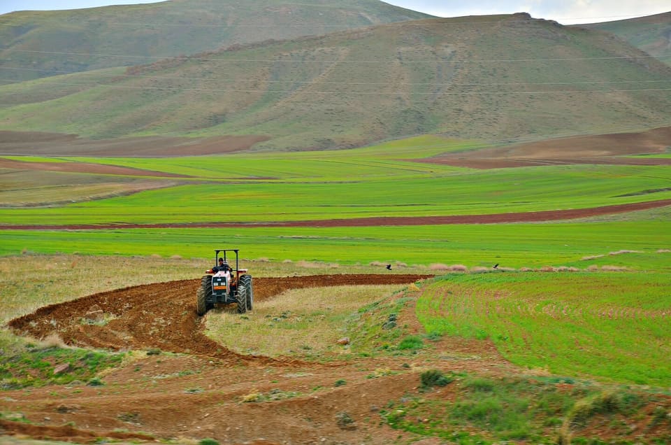 Dövlət torpaqlarının icarə haqqı yeni qaydada hesablanacaq