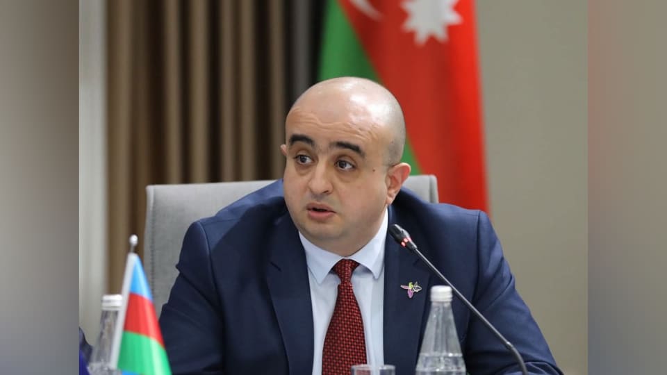 Fuad Çıraqov Gürcüstanda təhsil məsələləri üzrə müşavir təyin edilib