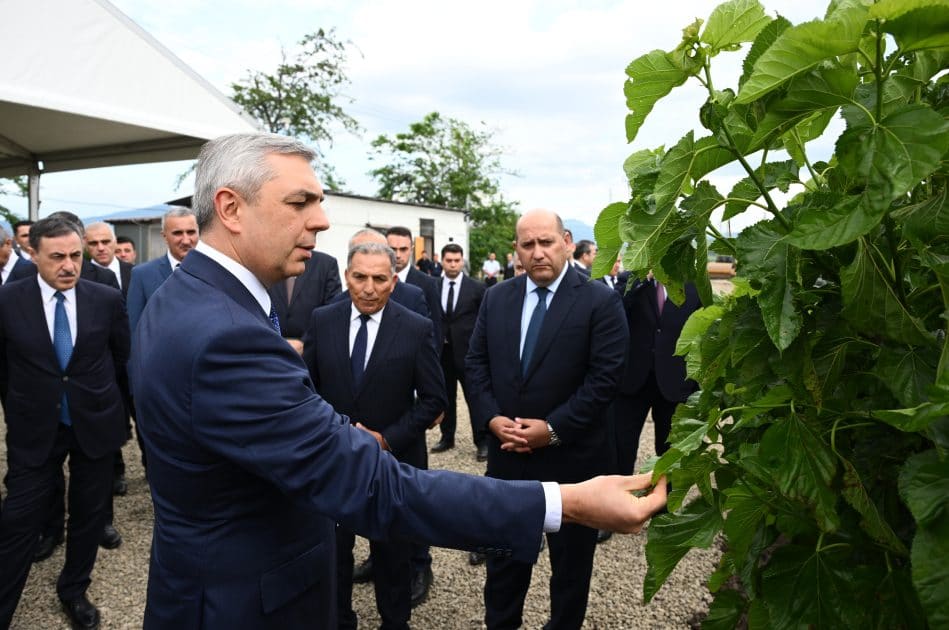 Xocalının Daşbulaq kəndində baramaçılığın inkişafı üçün yaradılmış infrastruktura baxış keçirilib