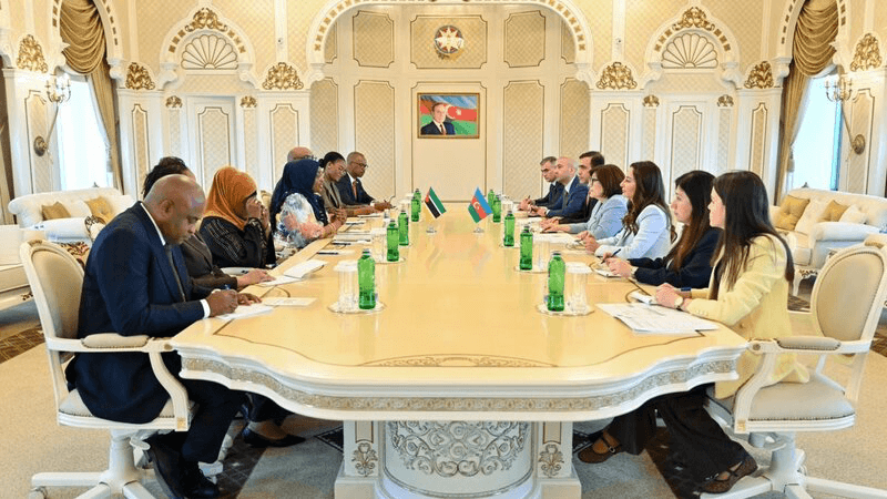 Sahibə Qafarova Mozambik Respublika Assambleyasının sədri ilə görüşüb