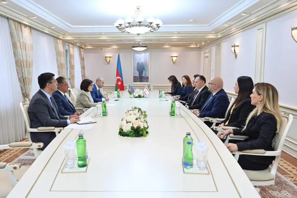 Sahibə Qafarova Şimali Kipr Məclisinin sədri ilə görüşüb