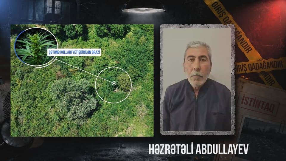 Qaxda çay sahilində çətənə kolu yetişdirən şəxs saxlanılıb