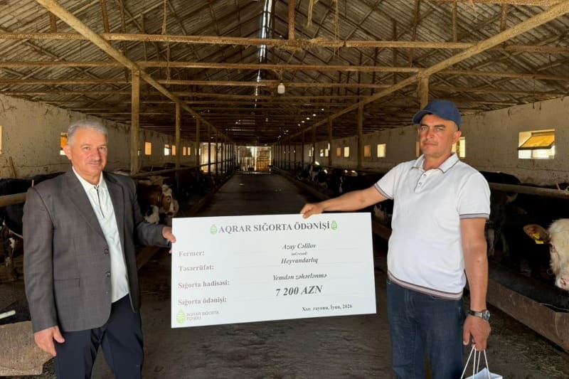 Xaçmaz və Xızıda təsərrüfatlara dəymiş zərərlər üzrə sığorta ödənişləri həyata keçirilib
