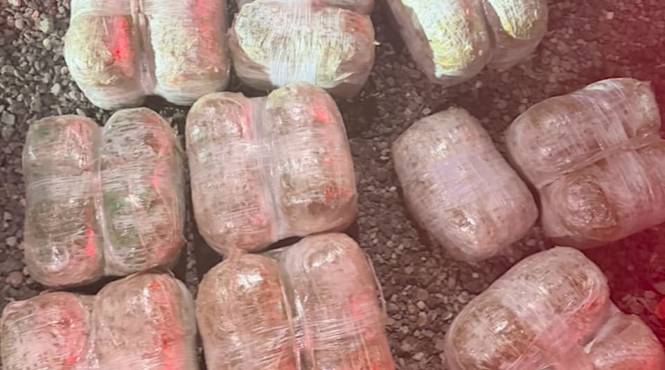 Sabunçu rayonunda 19 kiloqramdan artıq marixuana aşkarlanıb