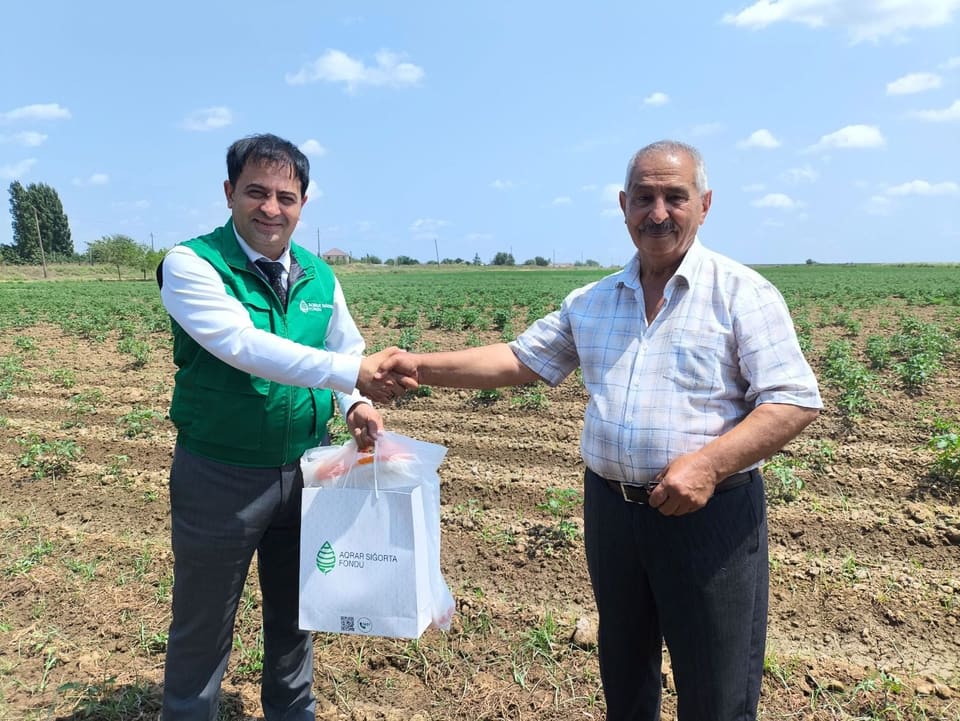 Cəlilabad və Biləsuvarda təsərrüfatlara dəymiş zərərlər üzrə sığorta ödənişləri həyata keçirilib