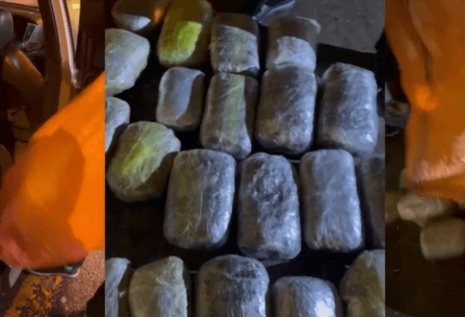 Ötən gün 1,3 ton çətənə kolu məhv edilib