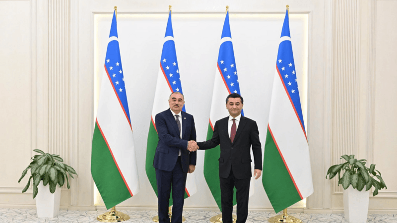 Azerbaijan's new ambassador presents credentials to Uzbek foreign minister