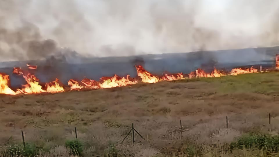 Füzulidə güclü yanğın başlayıb